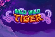 Game Slot Wild Wild Tiger: Hướng dẫn cách chơi slot từ A-Z